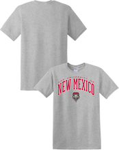 Load image into Gallery viewer, UNM Arch Gray T-Shirt