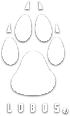 Lobos Paw Window Decal - White